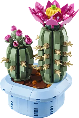Blomstrende kaktus