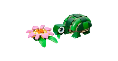Skildpadde med åkandeblomst