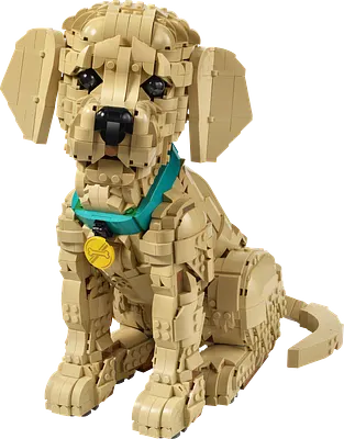 Golden retriever-hvalp
