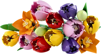 Tulipanbuket