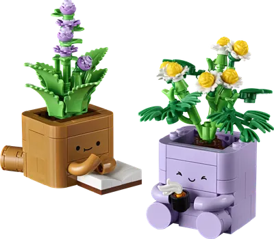 Hyggelige planter
