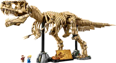 Dinosaurfossiler: Tyrannosaurus rex