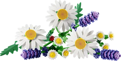 Margueritter
