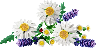 Margueritter