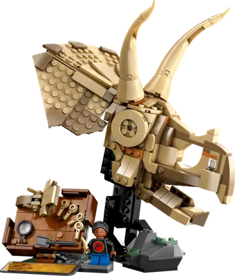 Dinosaurfossiler: Triceratops-kranium