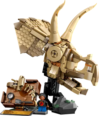 Dinosaurfossiler: Triceratops-kranium