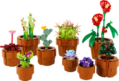 Små planter