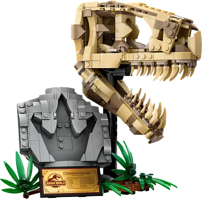 Dinosaurfossiler: T. rex-kranium