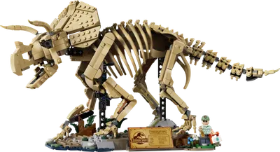 Dinosaurfossiler: Triceratops