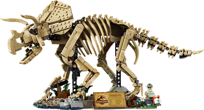 Dinosaurfossiler: Triceratops