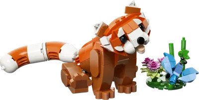Søde dyr: Rød panda
