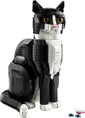 Tofarvet kat