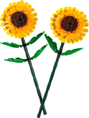 Solsikker