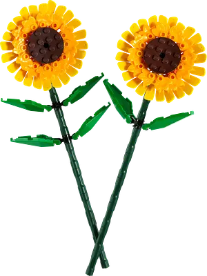 Solsikker