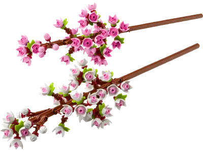 kirsebærblomster