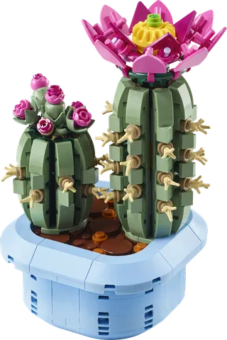 Blomstrende kaktus