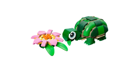 Skildpadde med åkandeblomst