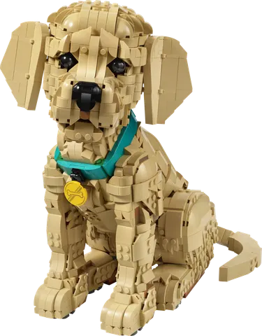 Golden retriever-hvalp