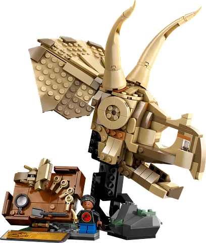 Dinosaurfossiler: Triceratops-kranium