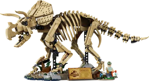 Dinosaurfossiler: Triceratops
