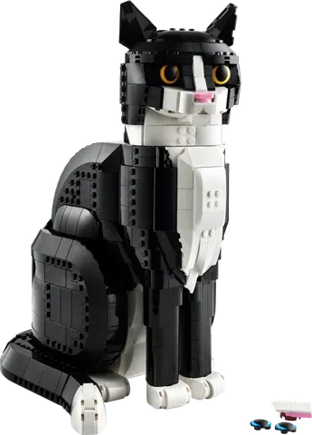 Tofarvet kat