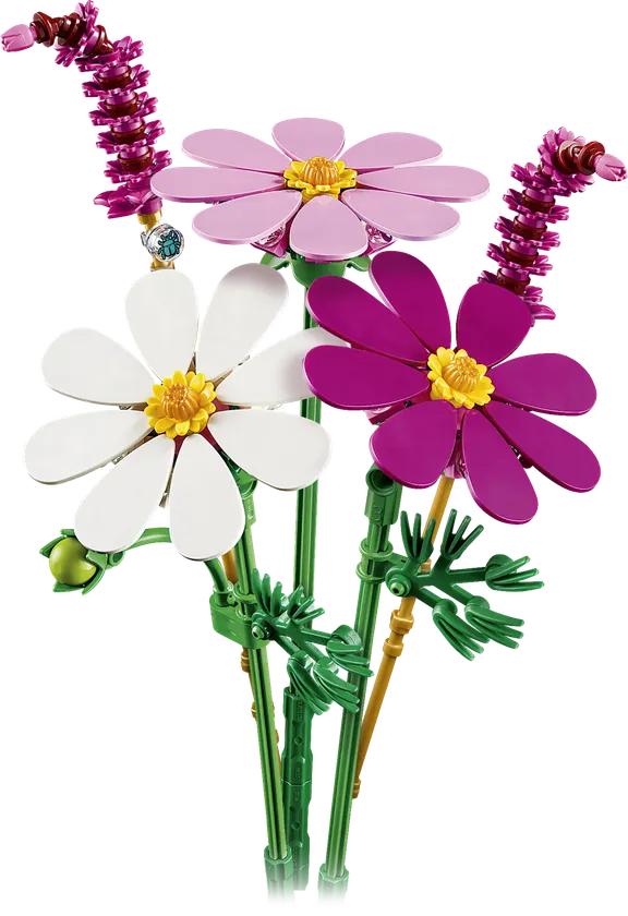 Stolt kavaler-blomster