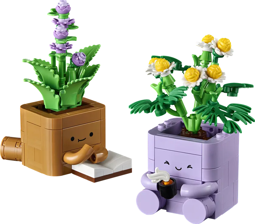 Hyggelige planter