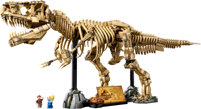 Dinosaurfossiler: Tyrannosaurus rex