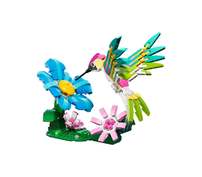 Vilde dyr: Farverig kolibri