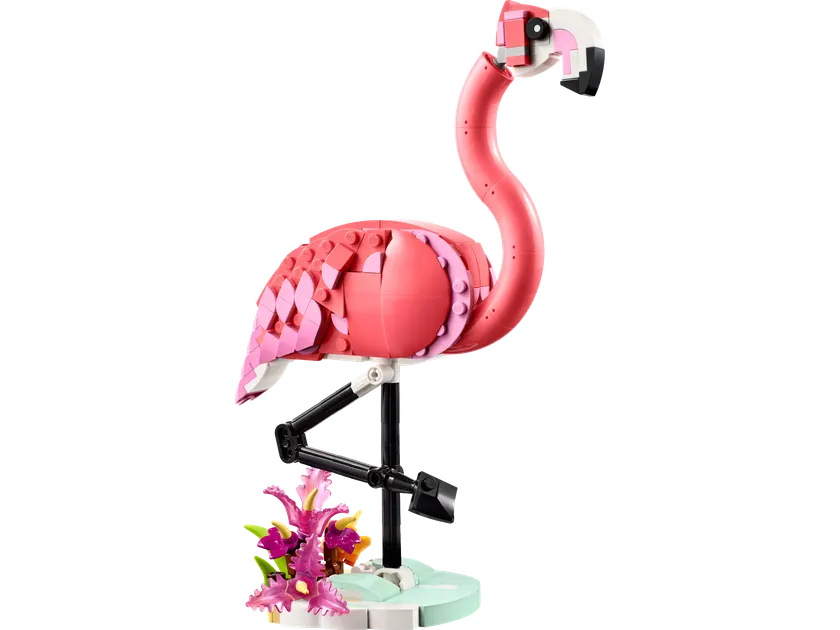 Vilde dyr: Pink flamingo