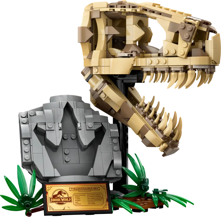 Dinosaurfossiler: T. rex-kranium