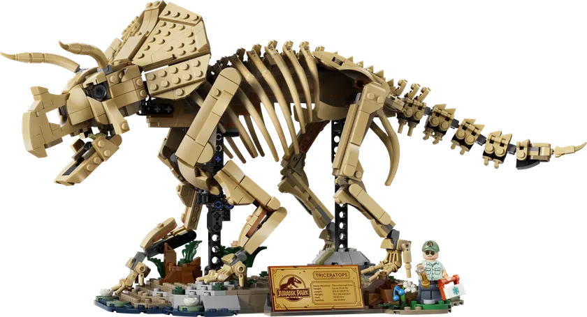 Dinosaurfossiler: Triceratops