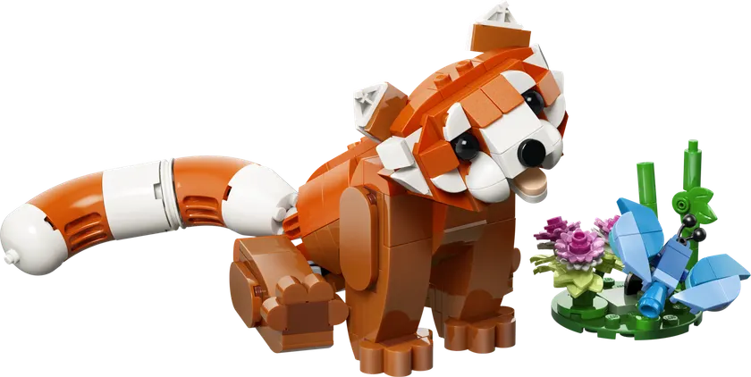Søde dyr: Rød panda