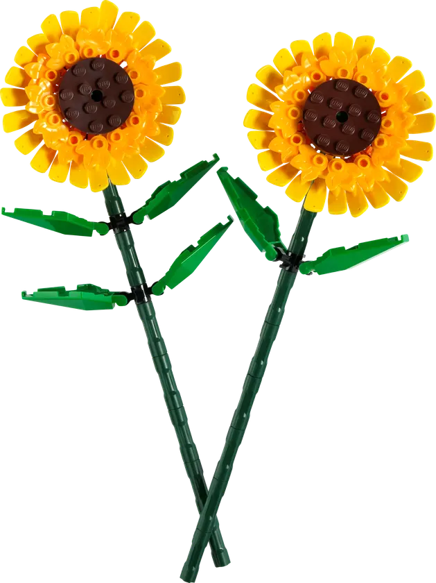 Solsikker