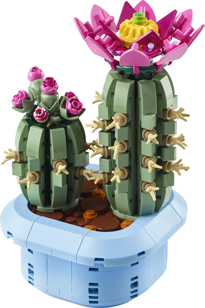 Blomstrende kaktus