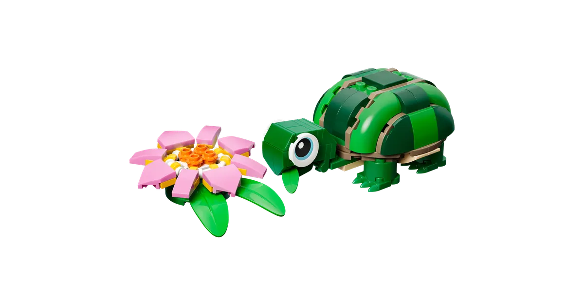 Skildpadde med åkandeblomst