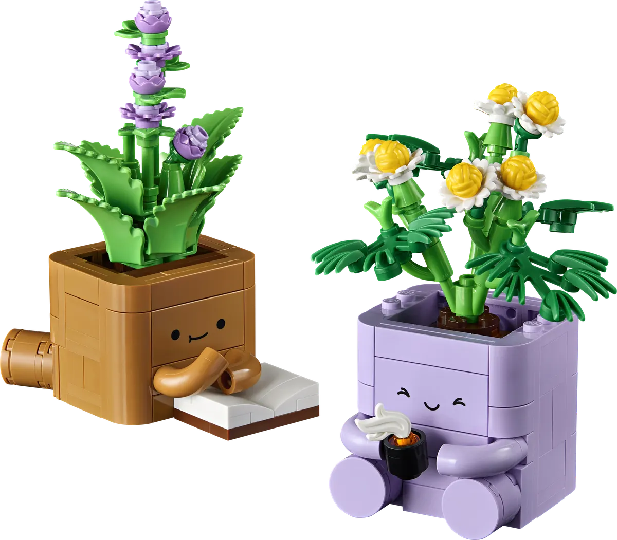 Hyggelige planter