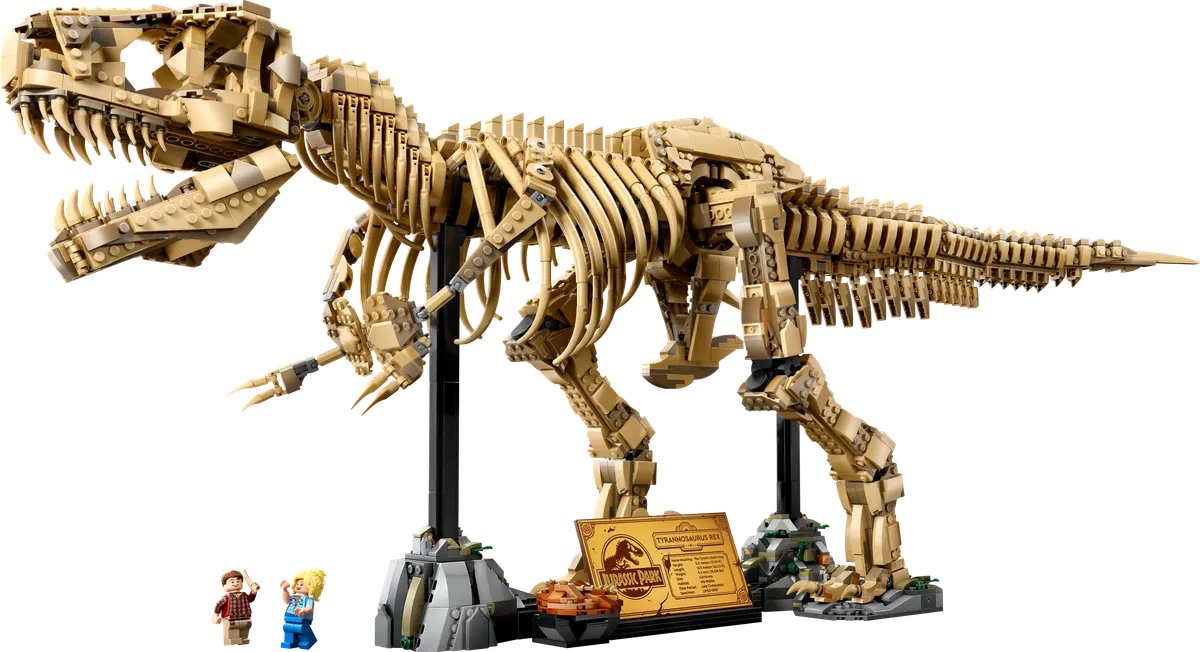 Dinosaurfossiler: Tyrannosaurus rex