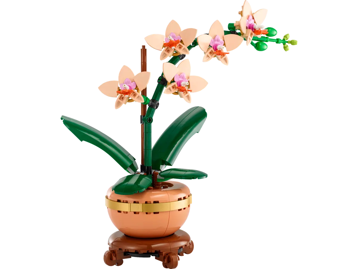 Mini-orkidé