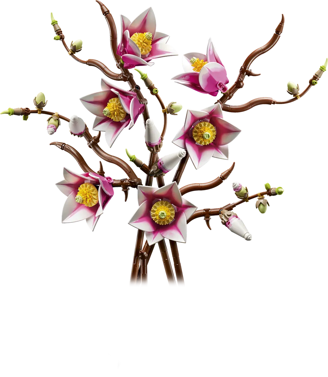 Magnolia-grene
