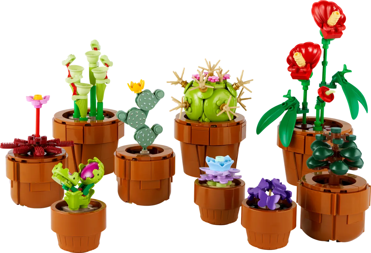 Små planter