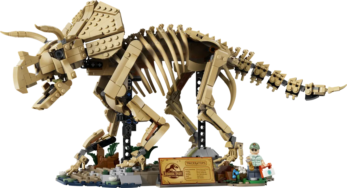 Dinosaurfossiler: Triceratops