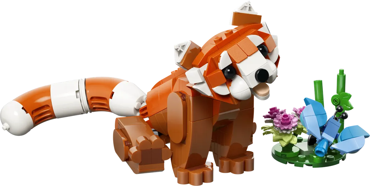 Søde dyr: Rød panda