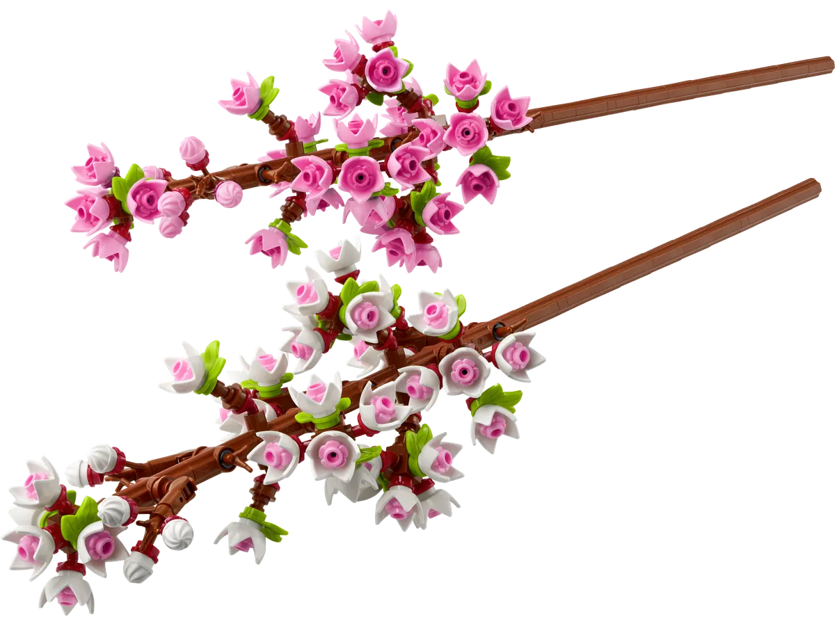 kirsebærblomster